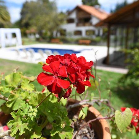 Quinta La Constanza Hotel Tababela Eksteriør billede